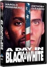 День в черном и белом 2001