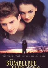 Полет шмеля (1999)