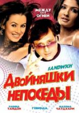 Двойняшки непоседы (2006)