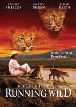 Бегущие на волю (1995)