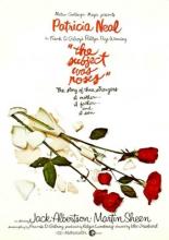 Всё из-за роз (1968)