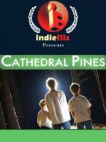 Cathedral Pines 2006