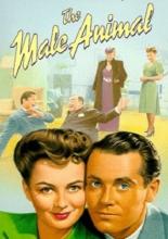 Зверь мужского пола (1942)