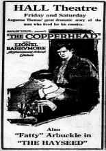 The Copperhead 1920
