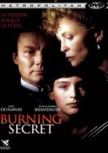Жгучая тайна (1988)