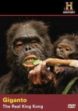 Giganto: The Real King Kong 2005