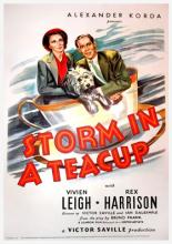 Буря в стакане воды (1937)