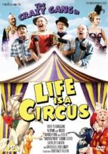 Life Is a Circus 1960