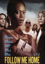 Проводи меня домой (1996)