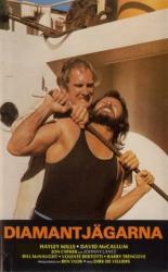 The Kingfisher Caper 1975