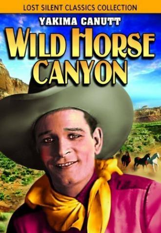 Wild Horse Canyon (фильм 1925)