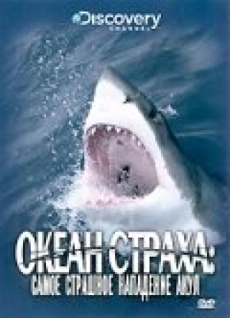 Discovery: Океан страха. Самое страшное нападение акул (фильм 2007)