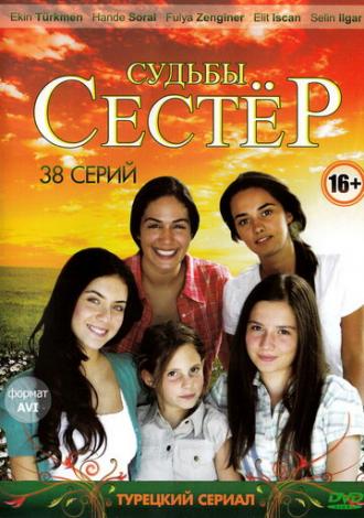 Судьбы сестер (сериал 2008)