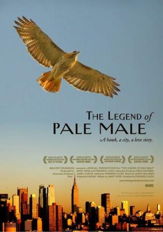 The Legend of Pale Male (фильм 2009)