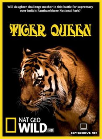 Королева тигров (фильм 2010)