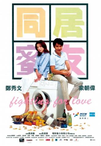 Сражаясь за любовь (фильм 2001)