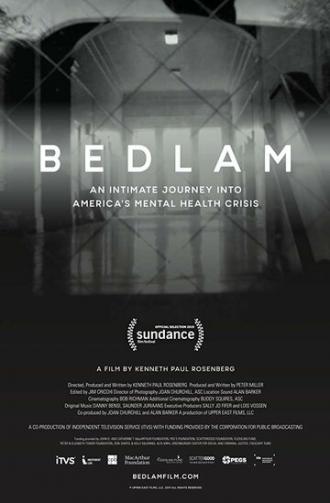 Bedlam (фильм 2019)