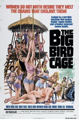 Большая клетка для птиц (фильм 1972)