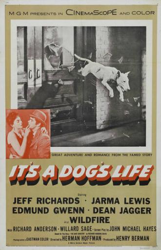 It's a Dog's Life (фильм 1955)