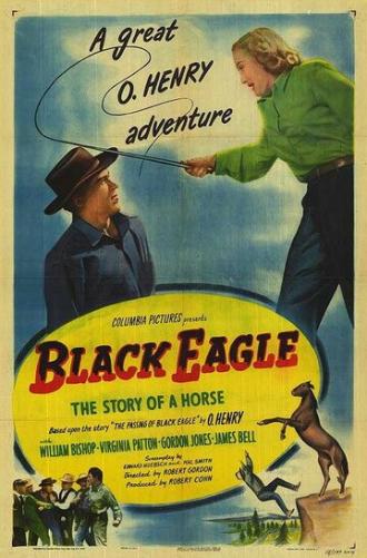 Black Eagle (фильм 1948)