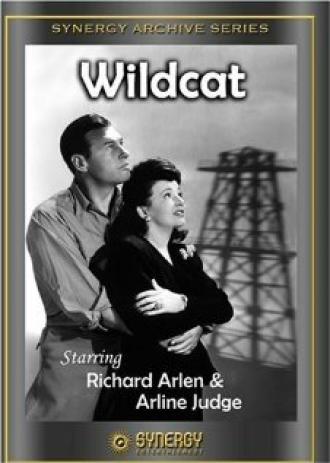 Wildcat (фильм 1942)