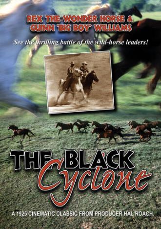 Black Cyclone (фильм 1925)