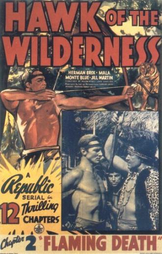 Hawk of the Wilderness (фильм 1938)