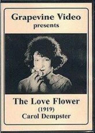 Цветок любви (фильм 1920)