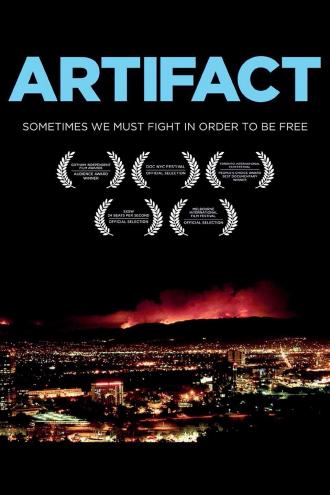 Артефакт (фильм 2012)
