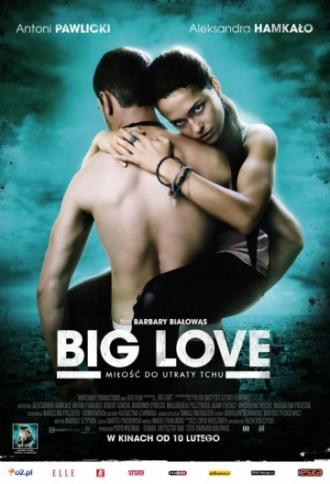Большая любовь (фильм 2012)