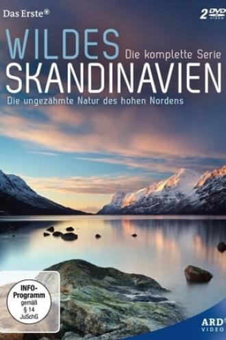Дикая природа Скандинавии (сериал 2011)