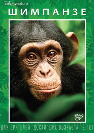 Шимпанзе (фильм 2012)