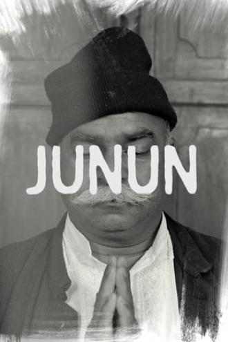Junun (фильм 2015)