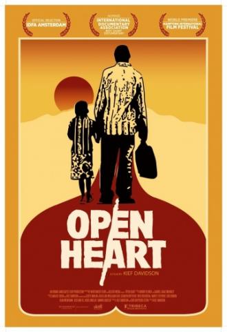 Открытое сердце (фильм 2013)