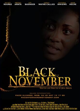 Чёрный ноябрь (фильм 2012)