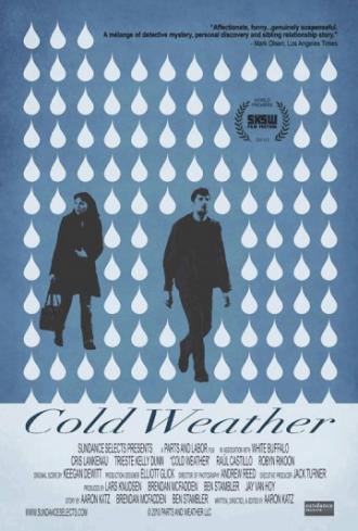 Холодная погода (фильм 2010)