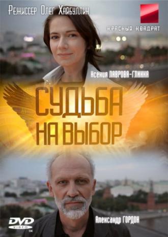 Судьба на выбор (сериал 2011)