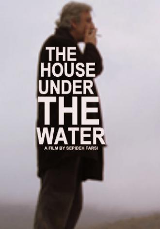 Дом под водой (фильм 2010)