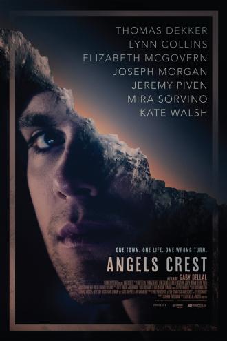Герб ангелов (фильм 2011)