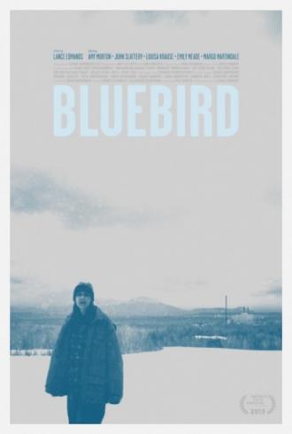 Синяя птица (фильм 2013)