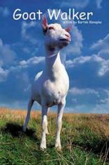 Баллада о козе 2004