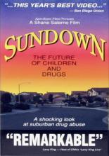 Sundown: The Future of Children and Drugs 1991