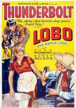 Громобой (1929)