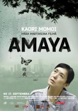 Гонконг, конфиденциально (2010)