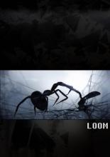 Ткацкий станок (2010)