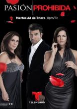 Запретная страсть (2013)