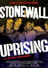 Стоунволльский бунт (2010)