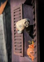 The Man Who Was Afraid of Falling (2011)