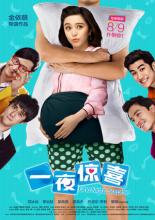 Ночной сюрприз (2013)
