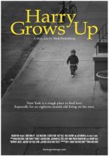 Harry Grows Up (2012)